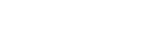 RAID 28